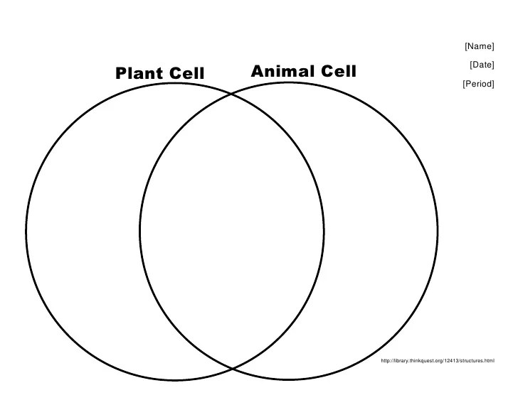 Venn diagram about plant and animal cell