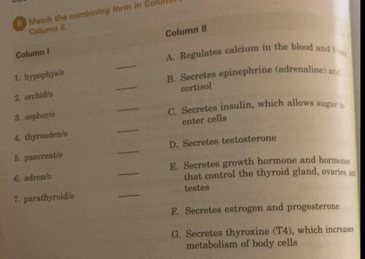 Choose the correct translation for the root hypophys o