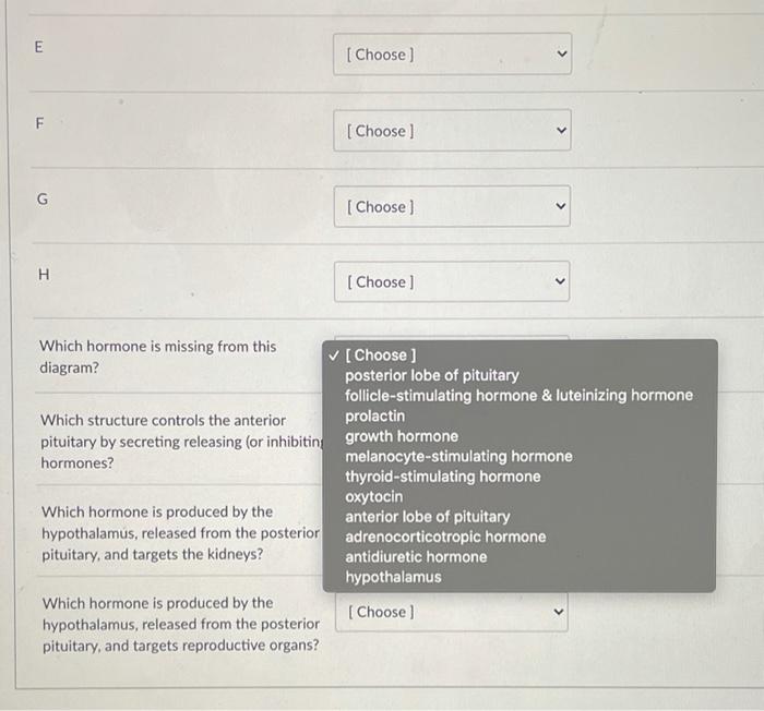 Choose the correct translation for the root hypophys o