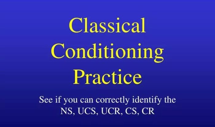 Classical conditioning practice sheet answers