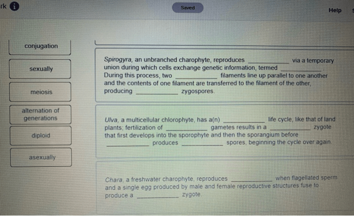 Choose the correct translation for the root hypophys o