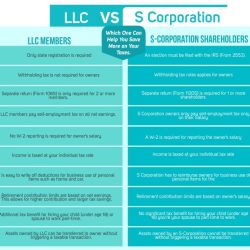 An s corporation may have only two classes of stock